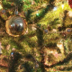 The Christmas tree of Sofia – shining tomorrow at 18:00