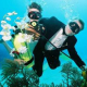 The first underwater wedding in Bulgaria took place near Kiten