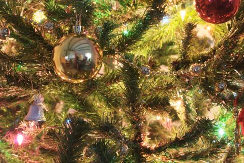 The Christmas tree of Sofia - shining tomorrow at 18:00