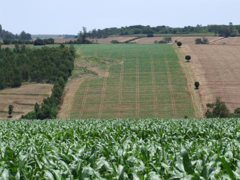 The prices of agricultural lands - up 19 %