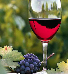 “Winery 2009” opens in Plovdiv
