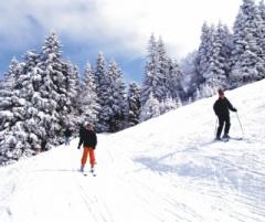 9,7% growth of tourists in the winter season