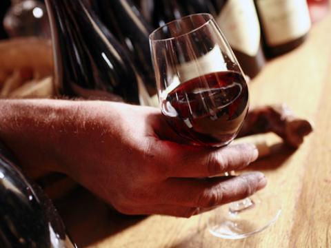 Spanish businessmen interested in producing wine near Pleven